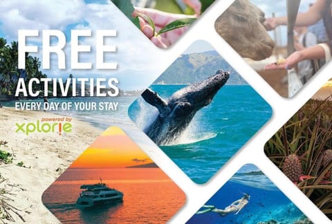 Kihei Akahi D402 · AKH D402 2BD Condo Across Beach Ocean View AC House in Wailea