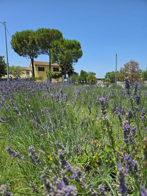 Natural landscape