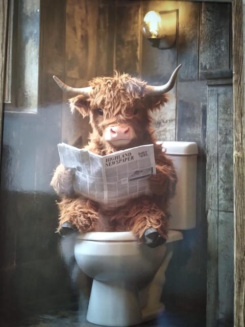 100 Stufen über dem Rhein Apartment in Rhein-Hunsrück-Kreis