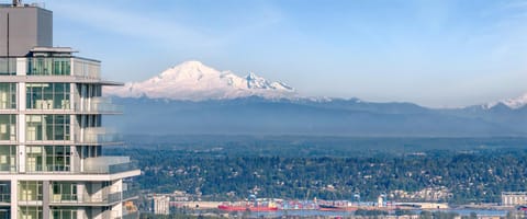 Pacific Sweet Place @Metro Apartment in Burnaby