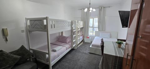 Private Studio Apartment in Tecom next to Metro station Apartment in Dubai