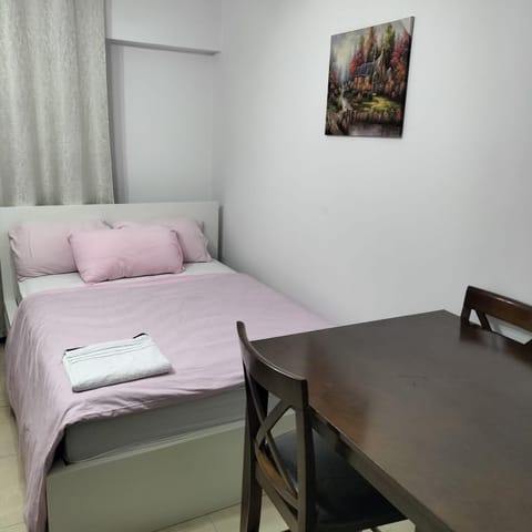 Private Studio Apartment in Tecom next to Metro station Apartment in Dubai