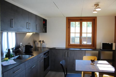 minibar, pet friendly, stove, kitchen