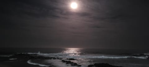 Night