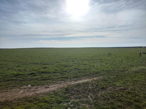 Vikendica Tisa Dukatar House in Vojvodina