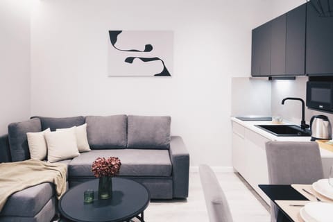Kitchen or kitchenette, Living room, Decorative detail, Seating area, Dining area