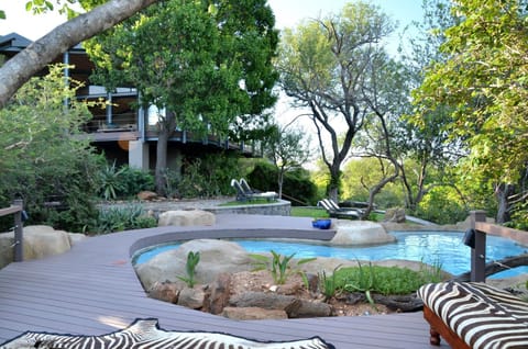 Garden, Pool view, Swimming pool