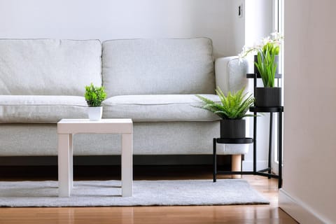 Bed, Living room, Photo of the whole room, Seating area, Bedroom