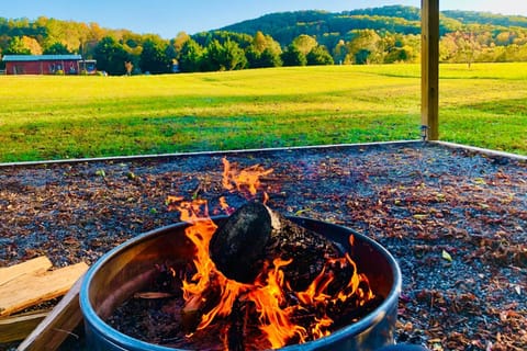 Lil Yellowstone House in Union County