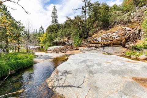 Natural landscape, River view