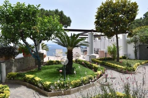 Garden, Balcony/Terrace