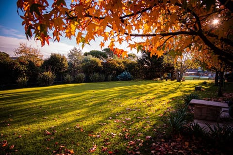 Day, Natural landscape, Children play ground, Garden, Garden view