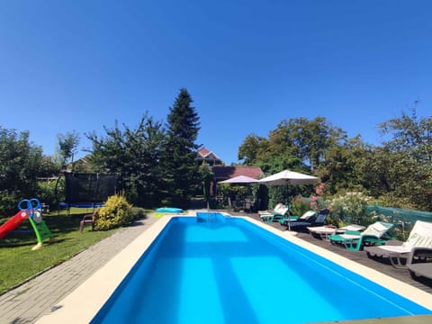 Summer, Garden, Swimming pool
