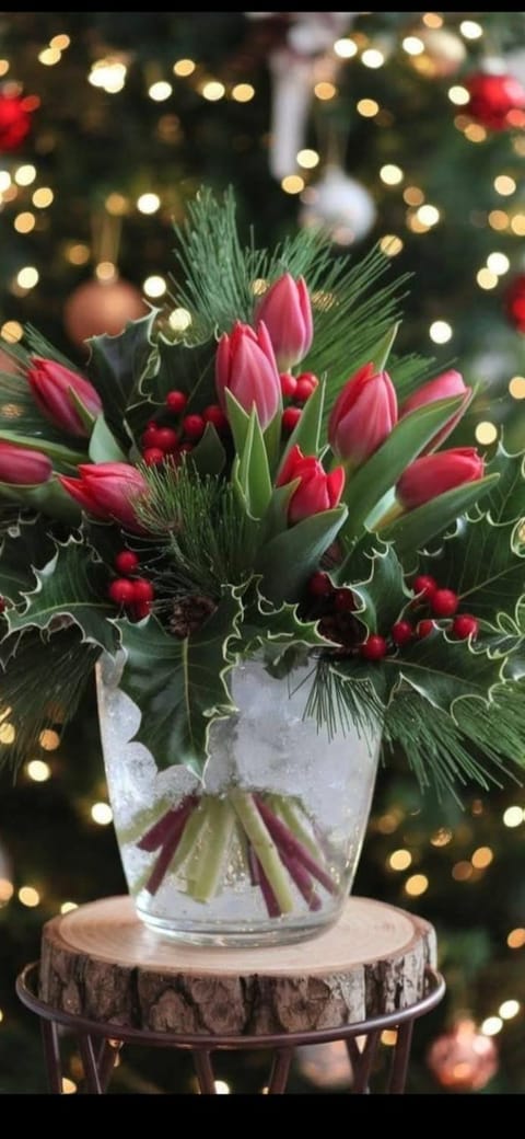 Dunav Apartment in Vojvodina