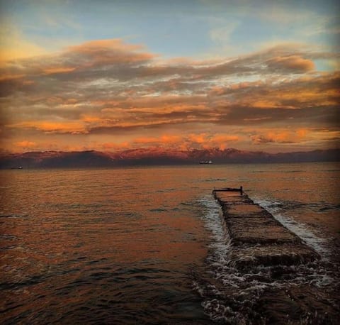 Kikkos Village House Apartment in Messenia