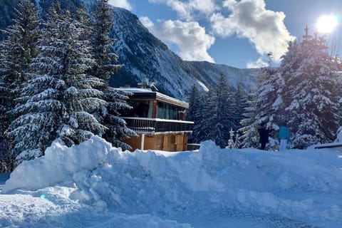 Chalet Robaumont - Grand chalet familial proche du centre et des pistes Chalet in Saint-Bon-Tarentaise