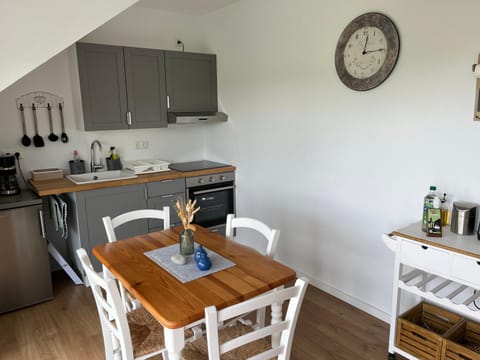 Kitchen or kitchenette, Dining area, oven, stove