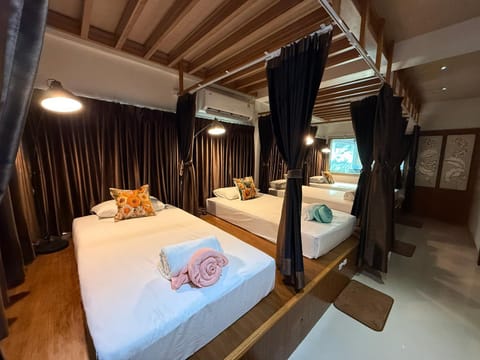 Lotus Hostel Beach Koh Tao Hostel in Ko Tao