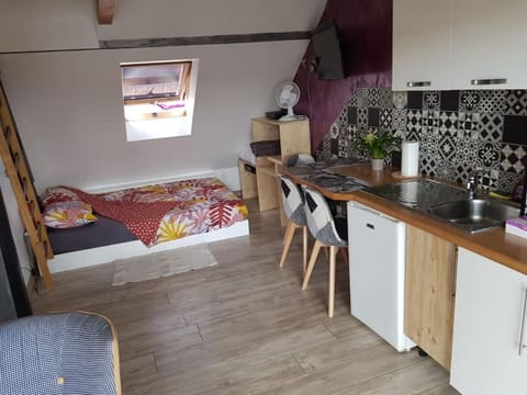 Studios KRY Apartment in Strasbourg