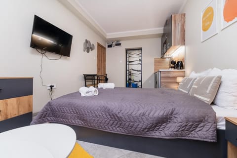 Bed, TV and multimedia, Kitchen or kitchenette, Photo of the whole room, Bedroom, towels, wardrobe