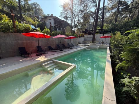 Spring, Day, Natural landscape, Garden, Garden view, Pool view, Swimming pool, sunbed