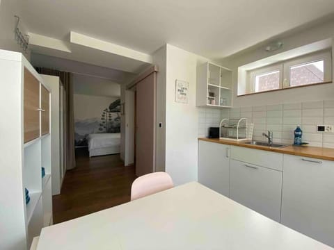 Kitchen or kitchenette, minibar, pet friendly, stove
