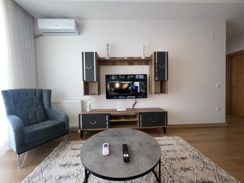 TV and multimedia, Living room, Seating area, air conditioner
