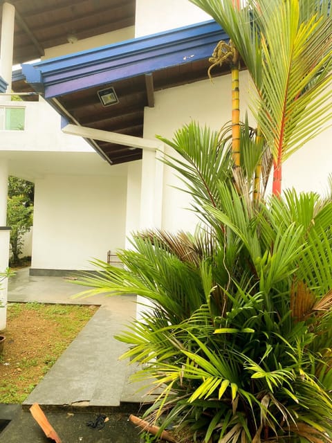 Day, Garden, Garden view