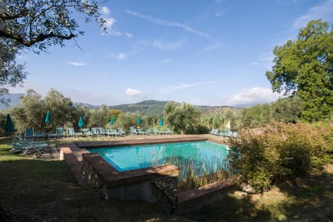 Villa Sardini Apartment in Lucca