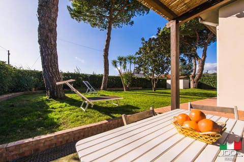 Patio, Garden, Garden view