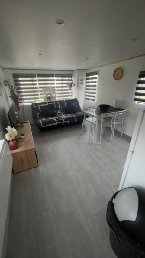 Living room, kitchen