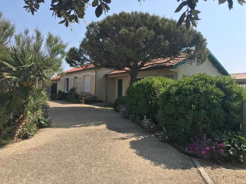 Spring, Garden, Garden view