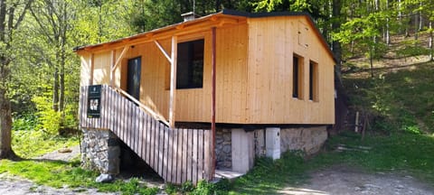 Property building, Spring, Day, Natural landscape