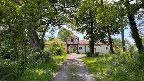 Property building, Natural landscape, Garden