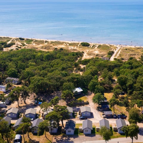 Natural landscape, Bird's eye view, Beach