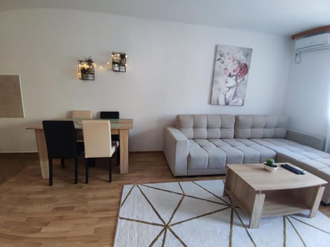 Alacaster apartment with PRIVATE PARKING Apartment in Novi Sad