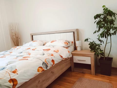 Alacaster apartment with PRIVATE PARKING Apartment in Novi Sad