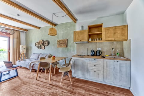 Kitchen or kitchenette, Living room, Seating area, Dining area, stove
