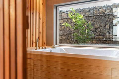 Hot Tub, Spa and wellness centre/facilities