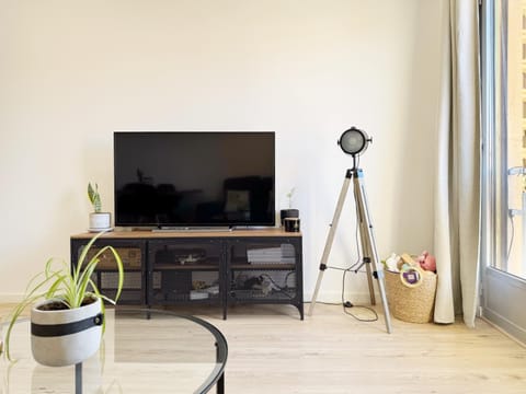 TV and multimedia