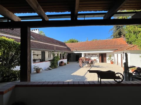Patio, Day