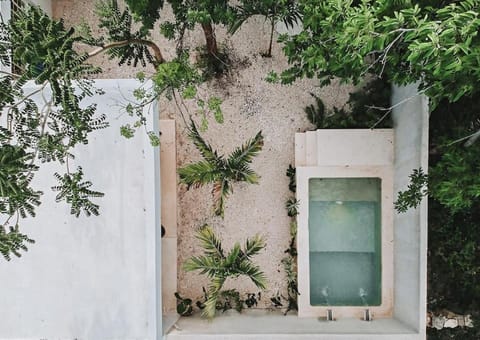 Property building, Garden, Garden view, Swimming pool