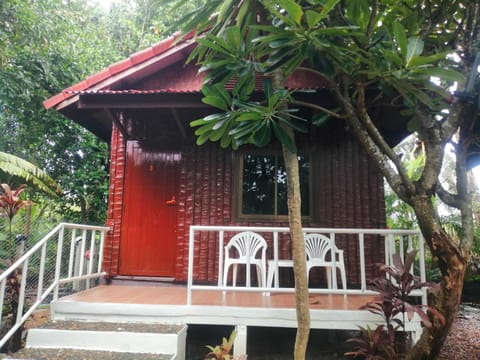 Property building, Garden, Garden view