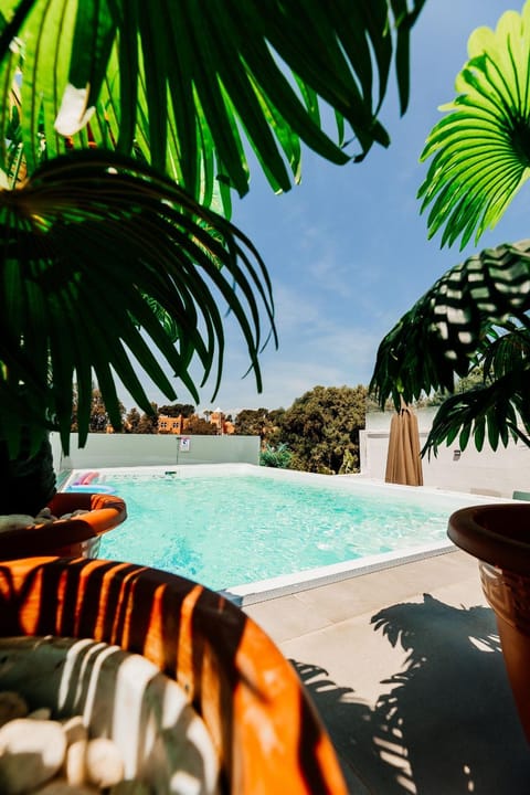 Pool view, Swimming pool