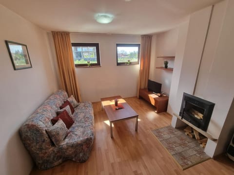 Living room, Decorative detail, fireplace