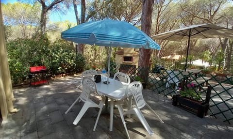 Patio, Garden, Garden view