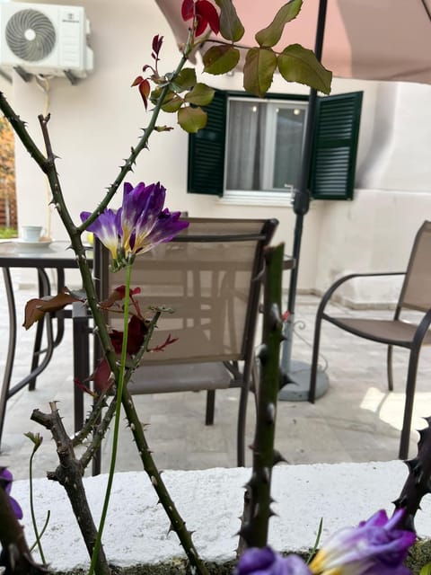 g&z cottage House in Corfu, Greece