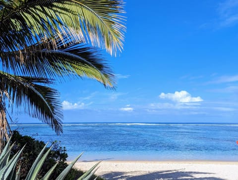 Nearby landmark, Beach
