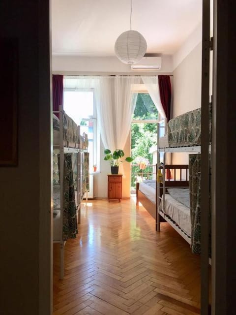 Green House Hostel Hostel in Krakow