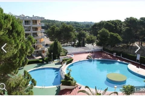 Garden, Pool view, Swimming pool, sunbed
